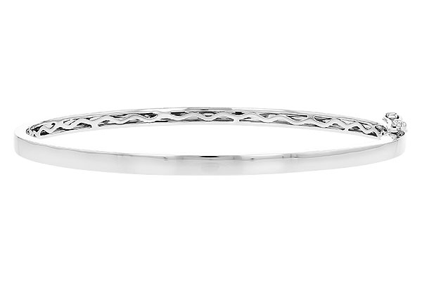 C291-81555: BANGLE (L208-14309 W/ CHANNEL FILLED IN & NO DIA)